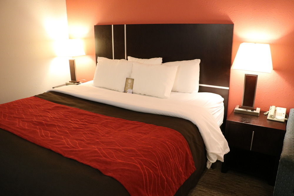 יורקטון Comfort Inn & Suites מראה חיצוני תמונה